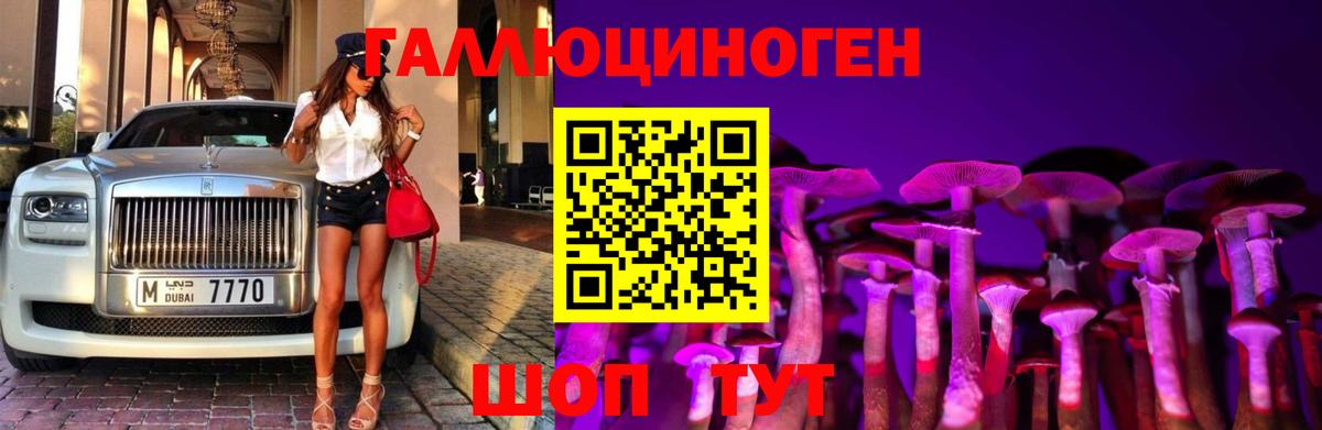 Псилоцибиновые грибы мицелий  Вход с VPN  Петропавловск-Камчатский  купить наркоту  Галлюциногенные грибы ЛСД 